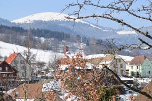 Appartements Spacieux et confortables gites a proximite randonnees, lacs, ski nature : photos des chambres