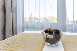 Apartamentai su terasa Elija