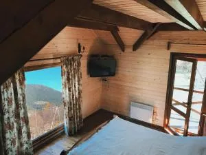 VIGORA - 韦尔霍维纳