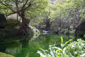 Jasmine house Lasithi Greece