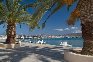 Bougainvillea House in Crete Lasithi Greece