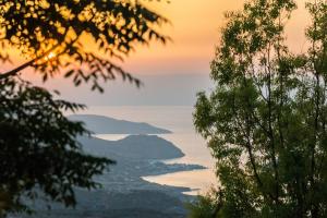 The Old Pomegranate House