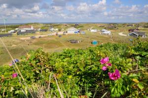 Dancamps Holmsland (Camp Site)