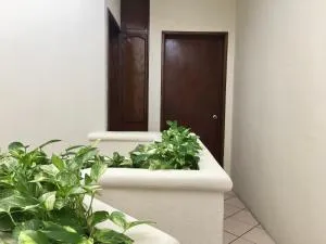 Casa Baraka, Casa Vacacional en Mazatlán cerca de Malecón, Centro Histórico y Playa - Barrón