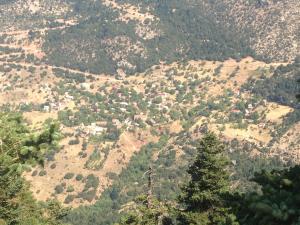 Chalet in the Forest Achaia Greece