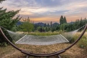 Carson Ridge Luxury Cabins - كاسكيد لوكس