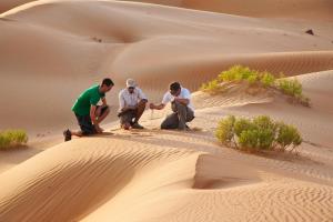 1 Qasr Al Sarab Road,  Abu Dhabi, United Arab Emirates.