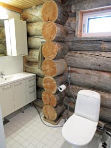 Polar Star Villa Rytmi