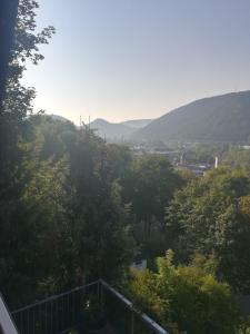 Ferienwohnung am Weinberg