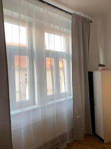 Clean, calm, bright Apartment in the heart of Prague