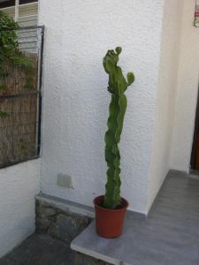 Chalet I con terraza en la playa