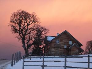 Ferienhaus Bichlhütte