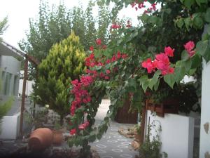 Skyros Panorama Studios Skyros Greece