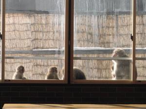 Shiga No Yu Hotel