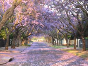 3@Marion Guest House