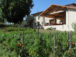 B&B / Chambres d'hotes A La Mare du Vieux Chene : photos des chambres