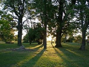 Pousada Chácara das Roseiras