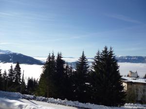 Appartements Le Clos des Gentianes : photos des chambres