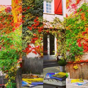 Hotels Hotel La Marisa Grande Plage : photos des chambres