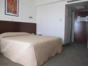 Budget Single Room room in Agapinor Hotel