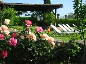 Agriturismo Villani Poderi Nesti & Cupoli - 波焦阿卡伊阿诺