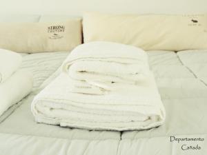 Departamento Cañada Güemes"