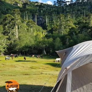 Camping de Montaña Rumiñañe