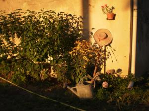 Hotels Domaine De Chatenay - Le Mans : photos des chambres