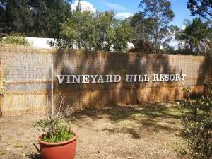 Vineyard Hill - Luskintyre