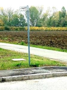 Appartamento con Vista Giardino
