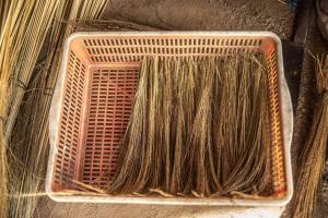 Chansor Homestay 1 By Siem Reap Homesteading