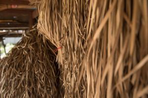 Chansor Homestay 1 By Siem Reap Homesteading