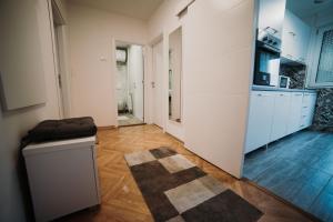 Modern apartment (50m2) in the center of Novi Sad