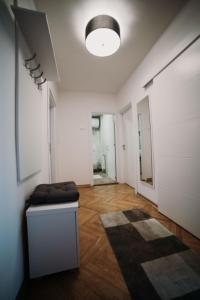 Modern apartment (50m2) in the center of Novi Sad