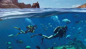 TABLERO 202, Céntrico y moderno apto 6 pax cerca de Playa Inglés