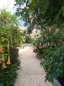 Vanna's Apartments Arkadia Greece