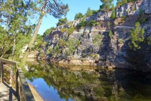 Appartements Grand loft de 60m2 tres lumineux tres belle vue sur mer : photos des chambres