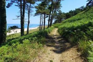 Appartements Grand loft de 60m2 tres lumineux tres belle vue sur mer : photos des chambres