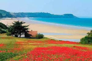 Appartements Grand loft de 60m2 tres lumineux tres belle vue sur mer : photos des chambres