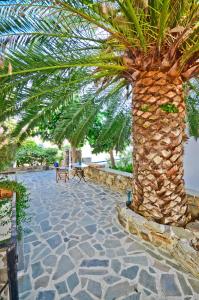 Sea View Apartments & Studios Naxos Greece