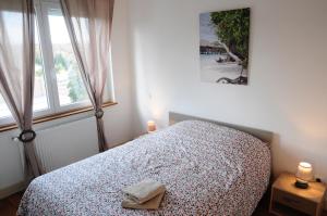 Appartements Chez Laurent et Sandrine : photos des chambres