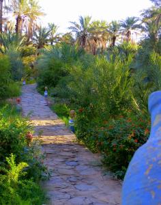Riad Tagmadarte Ferme dHôte