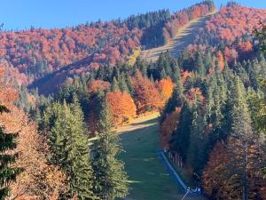 Apartment with Mountain View - First Floor room in Apartamente-Garden Apart Predeal -with Mountain view