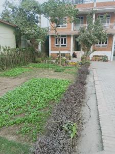行者之家SUNFLOWER