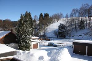 Harz-Sonne