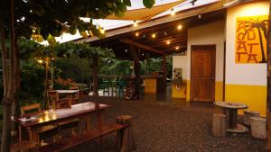 Alouatta Playa Coyote