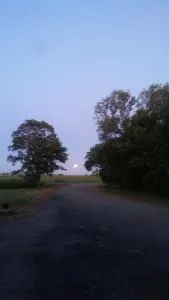 Het Friese Landschap - 莱米尔