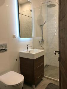 Family Apartment 5 Lux Vidik Kopaonik