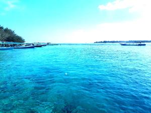 Gili T Sugar Shack
