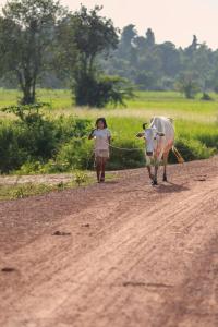 Chansor Homestay 9 By Siem Reap Homesteading